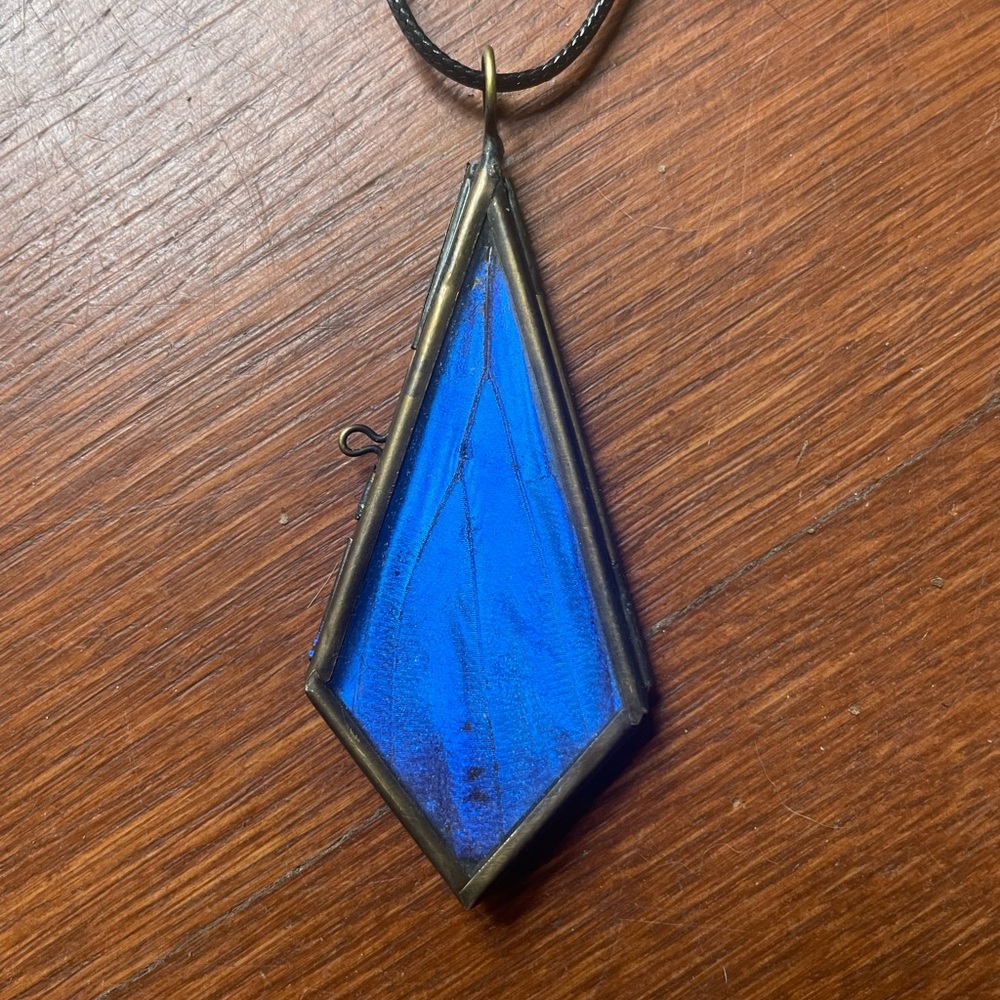 Real butterfly wing necklace